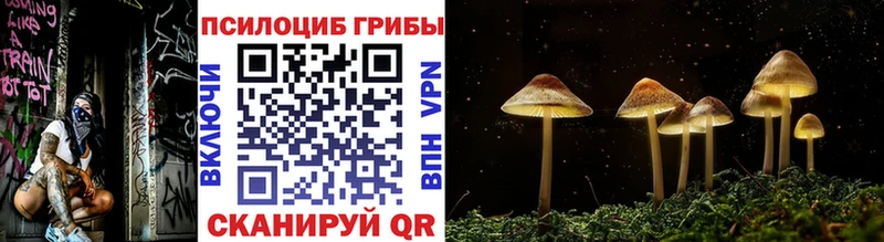 blacksprut ТОР  Светлоград  Псилоцибиновые грибы мицелий  что такое наркотик 
